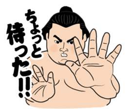 The funny Sumo sticker #12481251