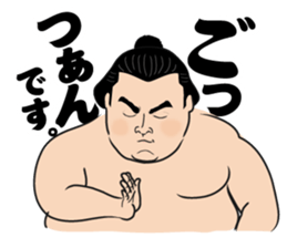 The funny Sumo sticker #12481253