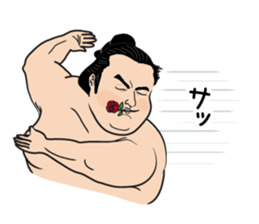 The funny Sumo sticker #12481254