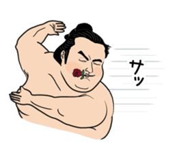 The funny Sumo sticker #12481254