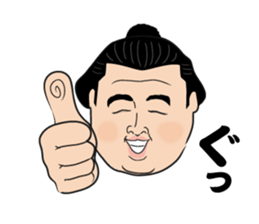 The funny Sumo sticker #12481258