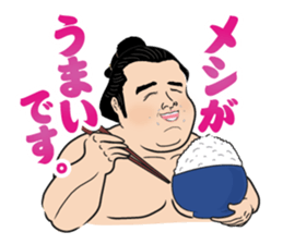 The funny Sumo sticker #12481259
