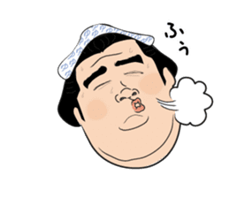 The funny Sumo sticker #12481261