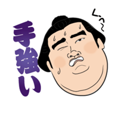 The funny Sumo sticker #12481262