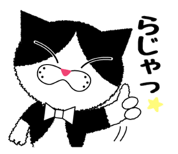 Daily Baron cat of Baron sticker #12482303