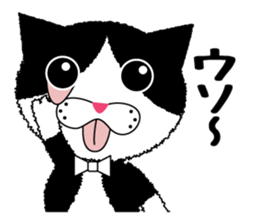 Daily Baron cat of Baron sticker #12482306