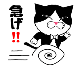 Daily Baron cat of Baron sticker #12482313