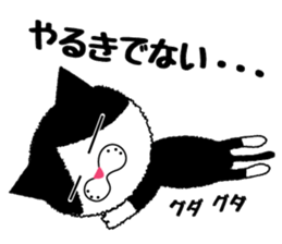 Daily Baron cat of Baron sticker #12482317