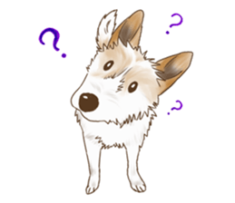 rikoSticker sticker #12483039