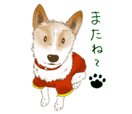 rikoSticker sticker #12483044