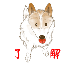 rikoSticker sticker #12483047