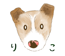 rikoSticker sticker #12483048