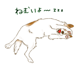 rikoSticker sticker #12483053