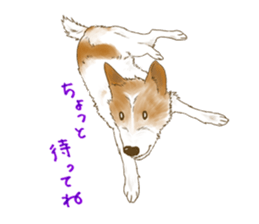 rikoSticker sticker #12483054