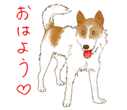 rikoSticker sticker #12483057