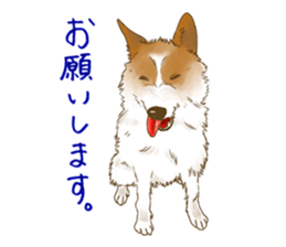 rikoSticker sticker #12483060