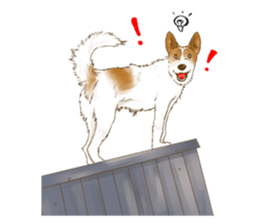 rikoSticker sticker #12483065