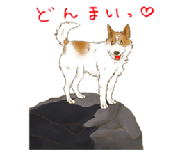 rikoSticker sticker #12483066