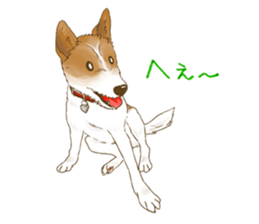 rikoSticker sticker #12483069