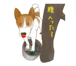 rikoSticker sticker #12483076