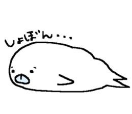 buxom seal sticker #12483986