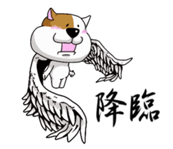 Daily fat dog sticker #12485037