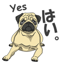 Fawn Pug2 sticker #12485103