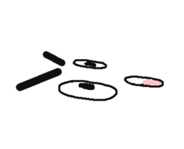 Amination ANONAMO - No Phrase sticker #12488733