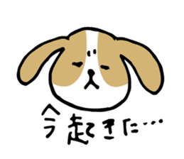 Cute Beagle dog Sticker-2 sticker #12492275