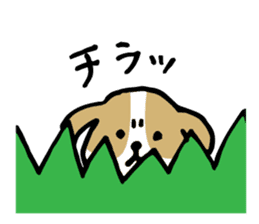 Cute Beagle dog Sticker-2 sticker #12492280