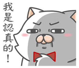 Tie cat 1 sticker #12494010