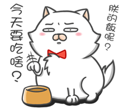 Tie cat 1 sticker #12494023