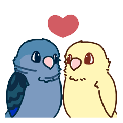 Lineolated parakeet and friends 2