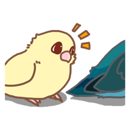 Lineolated parakeet and friends 2 sticker #12495086