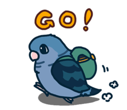 Lineolated parakeet and friends 2 sticker #12495089