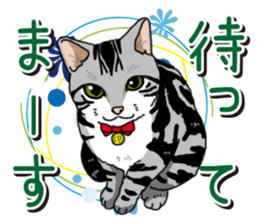 Daily American Shorthair sticker #12496626