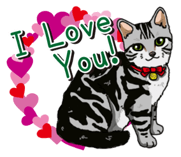 Daily American Shorthair sticker #12496632