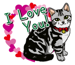 Daily American Shorthair sticker #12496632