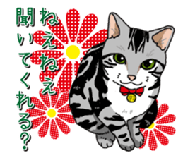 Daily American Shorthair sticker #12496636