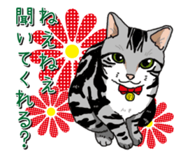 Daily American Shorthair sticker #12496636