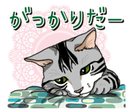 Daily American Shorthair sticker #12496640