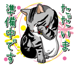 Daily American Shorthair sticker #12496650