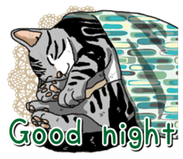 Daily American Shorthair sticker #12496657