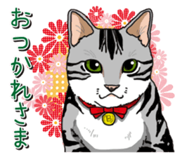 Daily American Shorthair sticker #12496658