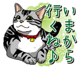 Daily American Shorthair sticker #12496659