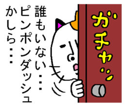 very strange cat5 sticker #12501685