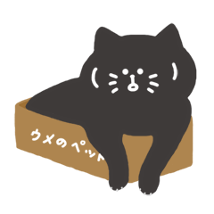 Daily life of 3 cats.