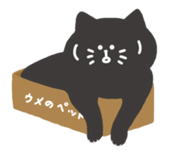 Aikoberry