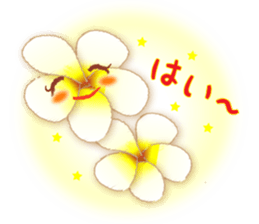 Flowers and Messages sticker #12503798