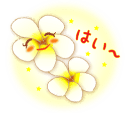 Flowers and Messages sticker #12503798